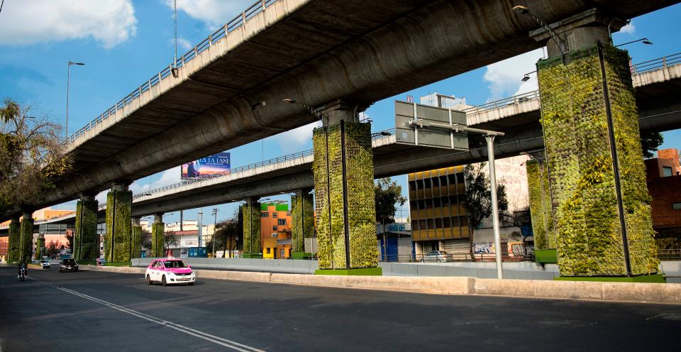 Reclusas de Santa Martha Acatitla visten de verde la Ciudad de México