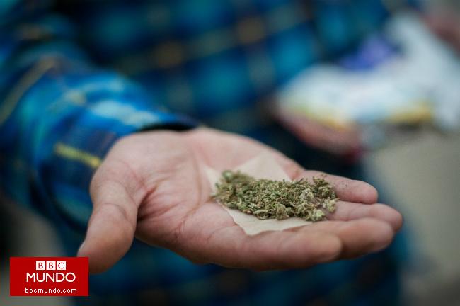 Esta es la estrategia del grupo que quiere legalizar la mariguana en México