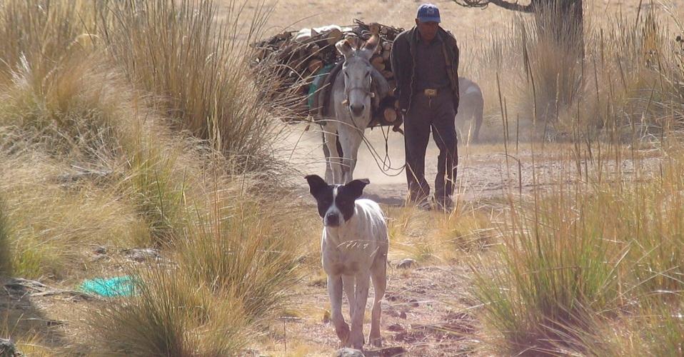 Oaxaca tiene el municipio con mayor porcentaje de gente pobre; Sonora, el de menor
