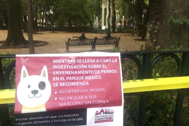 Pese a operativo, otro perro muere envenenado en la Condesa