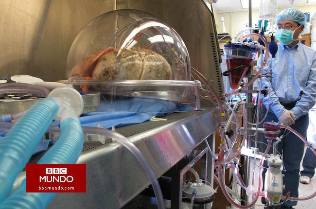 5 hitos de 2015 que podrían cambiar el curso de la medicina