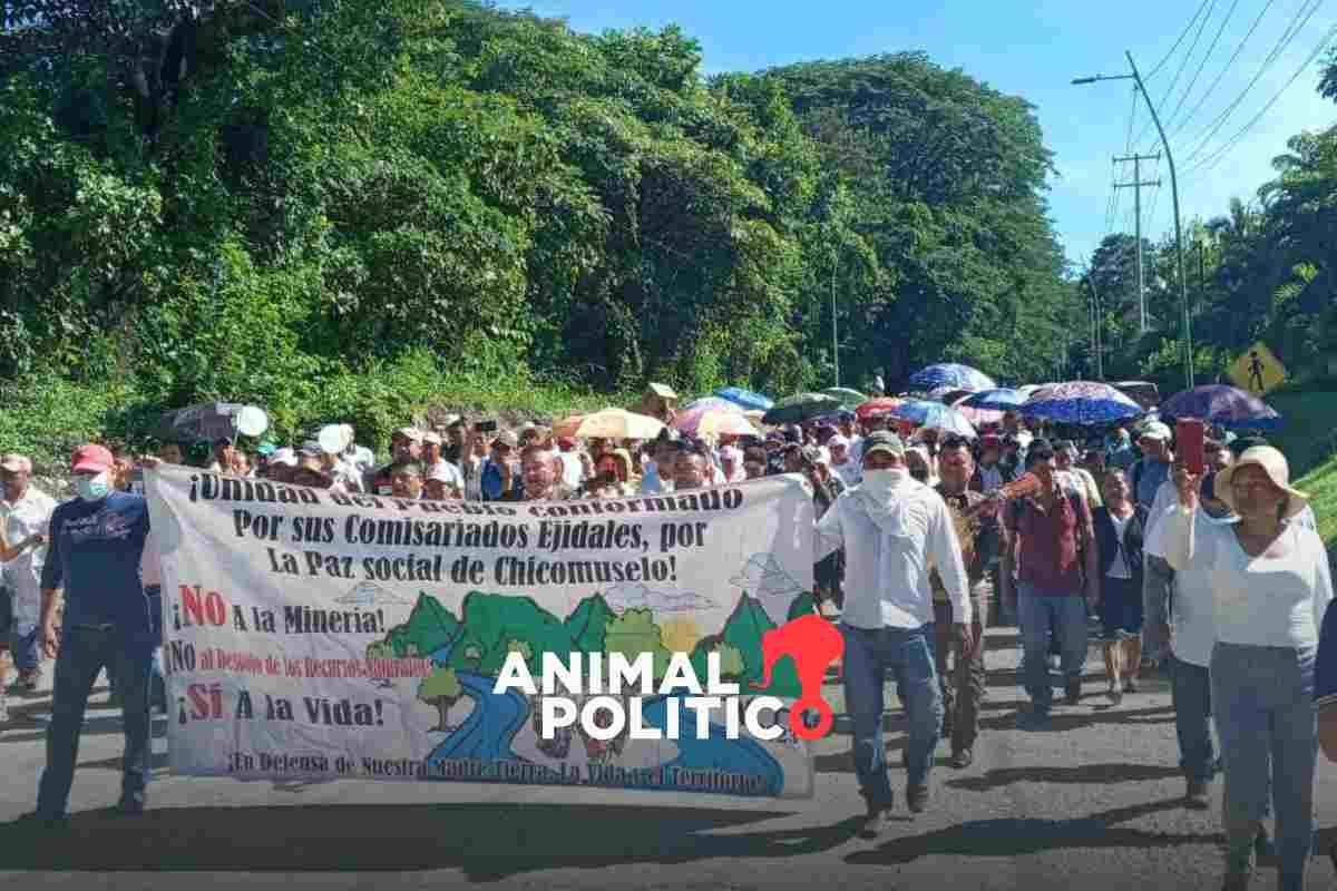 Marchan por la paz en Chicomuselo, Chiapas; denuncian extorsiones, saqueos y desapariciones