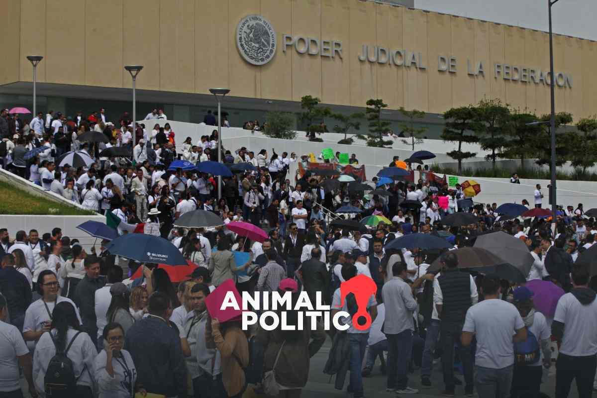 Trabajadores del Poder Judicial convocan a marcha este domingo; “es de pena ajena”, dice AMLO