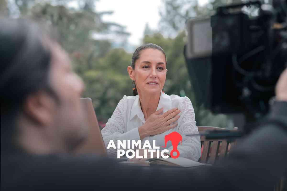 “No tengo favorito”; Sheinbaum intenta zanjar polémica por candidatura en CDMX