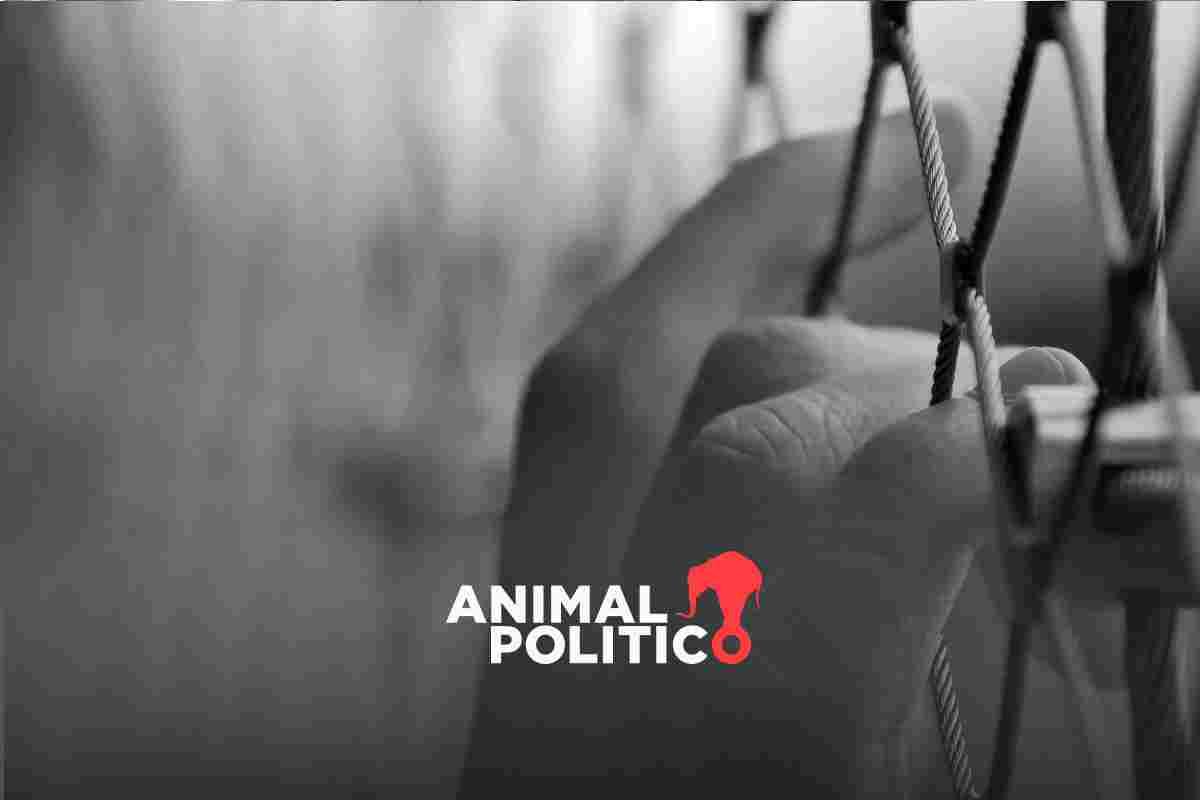 SSPC informa sobre 8 supuestos suicidios de internas del Cefereso 16 de Morelos en medio de denuncias por violaciones a Derechos Humanos