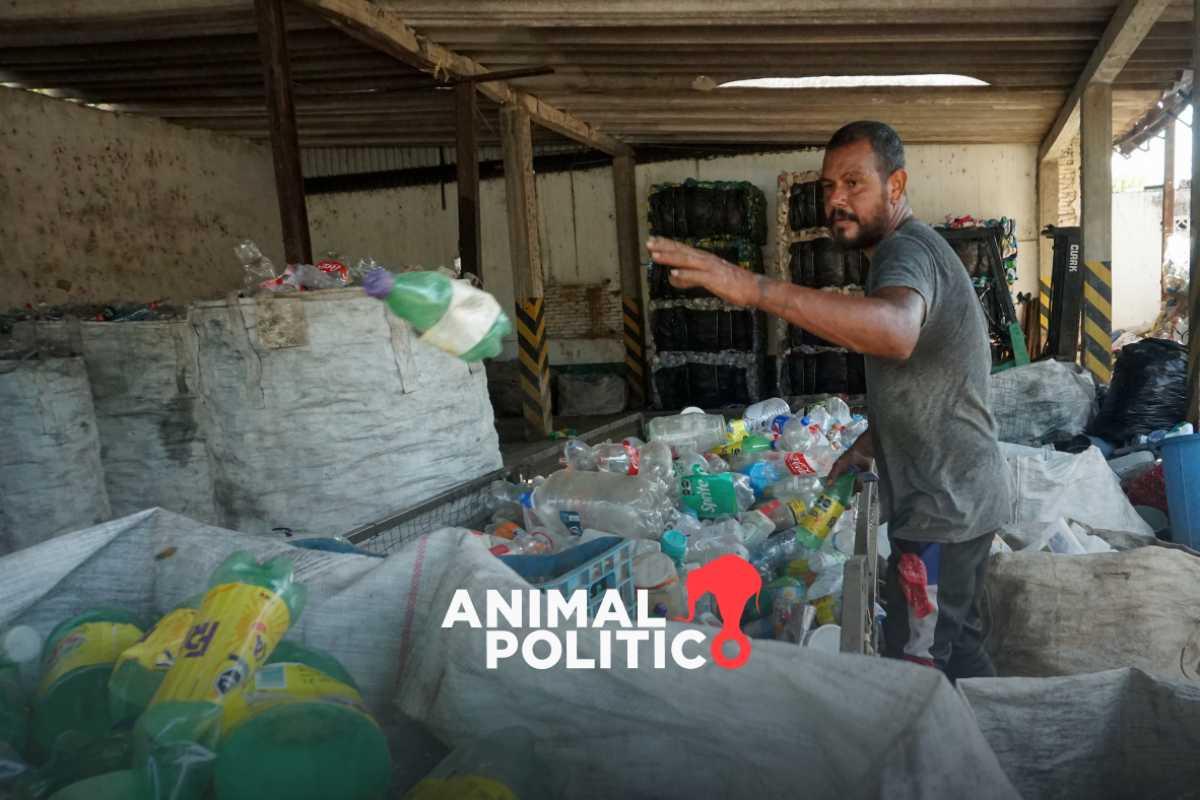 De la cárcel al reciclaje: la historia de Eleno y su empresa que emplea a una comunidad en Nayarit