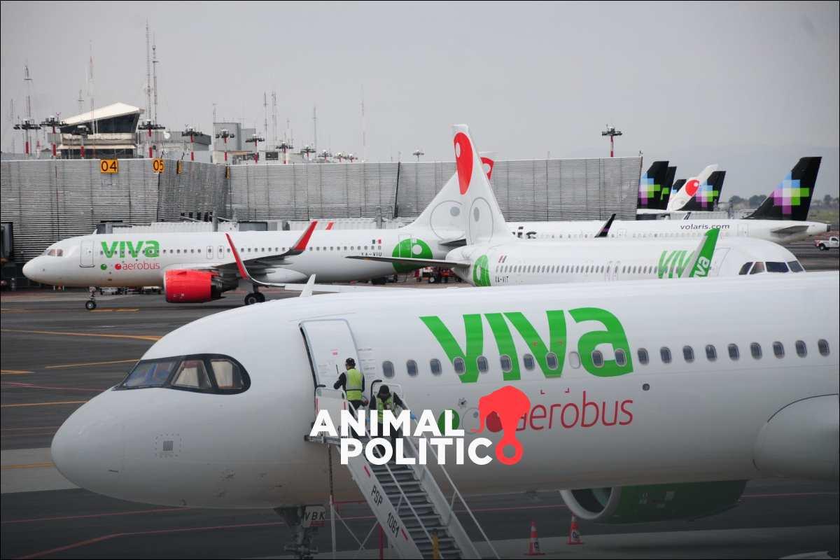 A volar: Estas son las nuevas cinco rutas que tendrá Viva Aerobús desde el AIFA