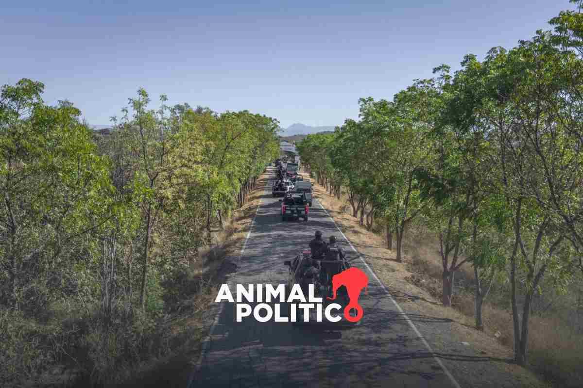 Privan de la libertad a por lo menos 39 personas en distintos puntos de Culiacán, Sinaloa; envían 600 militares para operativo