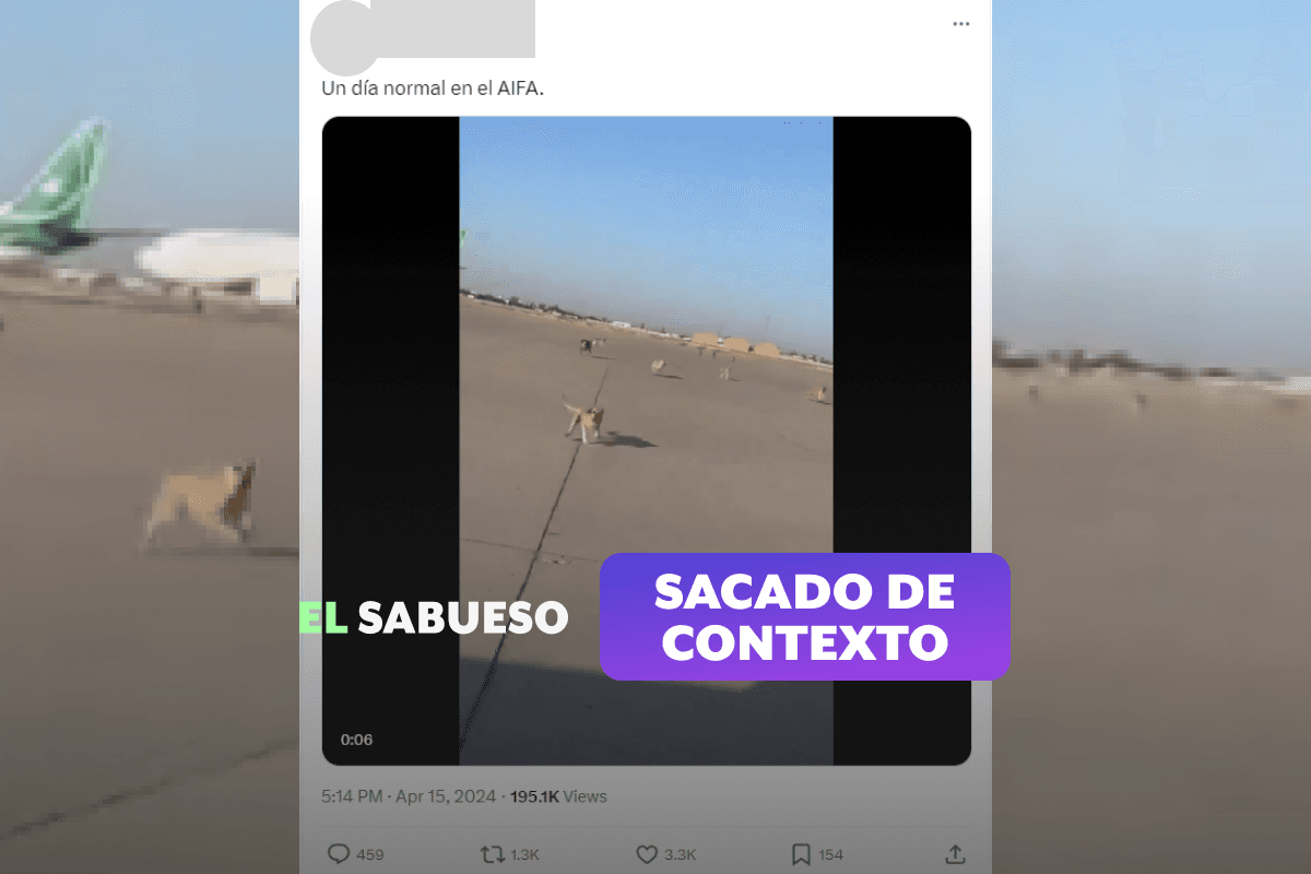 No hubo perros sueltos en las pistas del AIFA, este video es de un aeropuerto en Bagdad