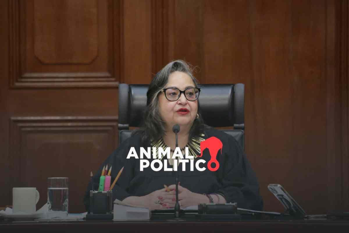 Magistrados y jueces respaldan a presidenta de la Corte, Norma Piña, tras acusaciones de Zaldívar