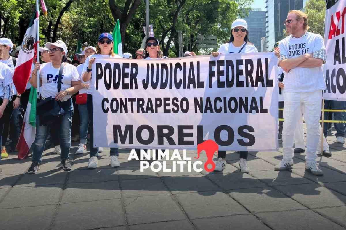 Trabajadores del Poder Judicial Federal radicalizan discurso contra AMLO, Morena y Zaldívar a un mes de las elecciones