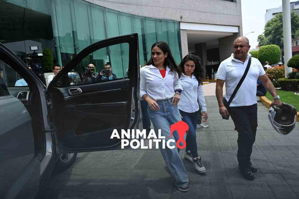 Sujeto disparó 5 veces a camioneta de Alessandra Rojo de la Vega, antes de huir al Edomex: Fiscalía