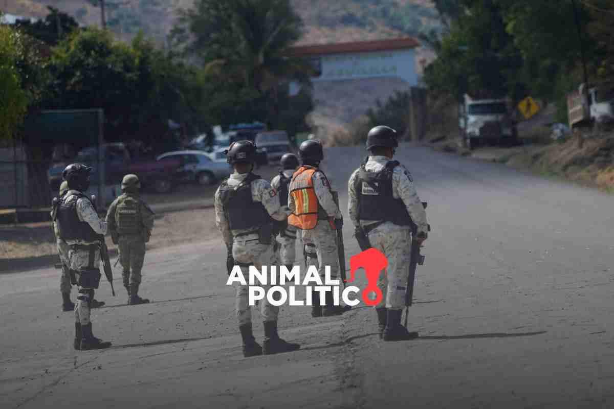 Ejército mató a 400 supuestos miembros del CJNG en Michoacán y los desapareció con ayuda de grupo criminal, revela informe