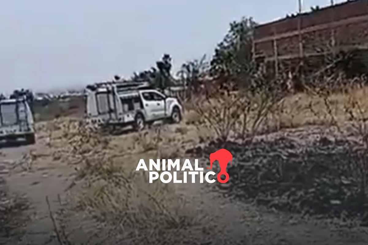 Localizan al menos 18 cuerpos en fosa clandestina en Abasolo, Guanajuato