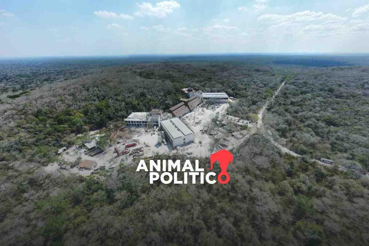 En la ruta del Tren Maya, Sedena construye un hotel en Calakmul, Campeche, y lo oculta hasta a UNESCO