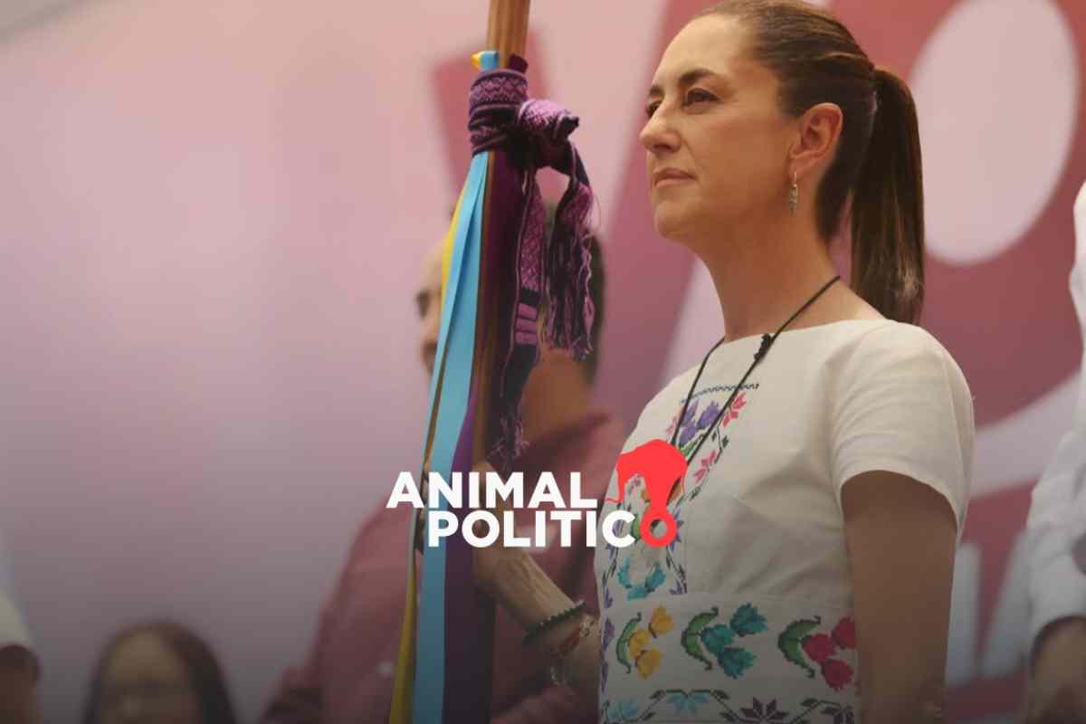 Claudia Sheinbaum presume encuestas que le dan la ventaja, pero pide a simpatizantes no confiarse 