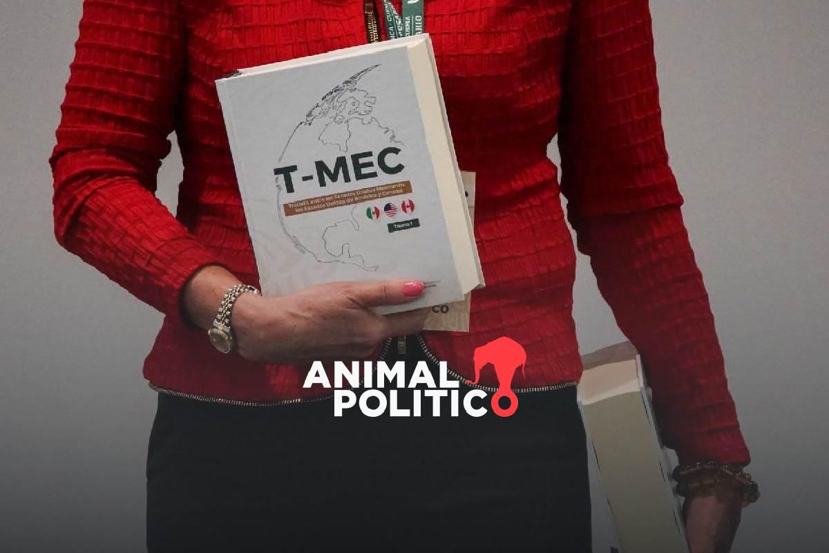 EU realiza audiencias públicas sobre funcionamiento del T-MEC de cara a revisión conjunta trilateral