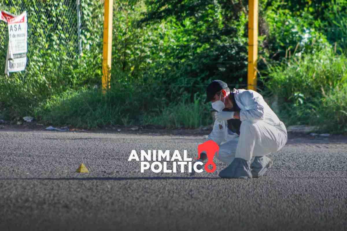 México arrancó noviembre con 88 homicidios en 24 horas; lideran Guanajuato, Colima y Morelos