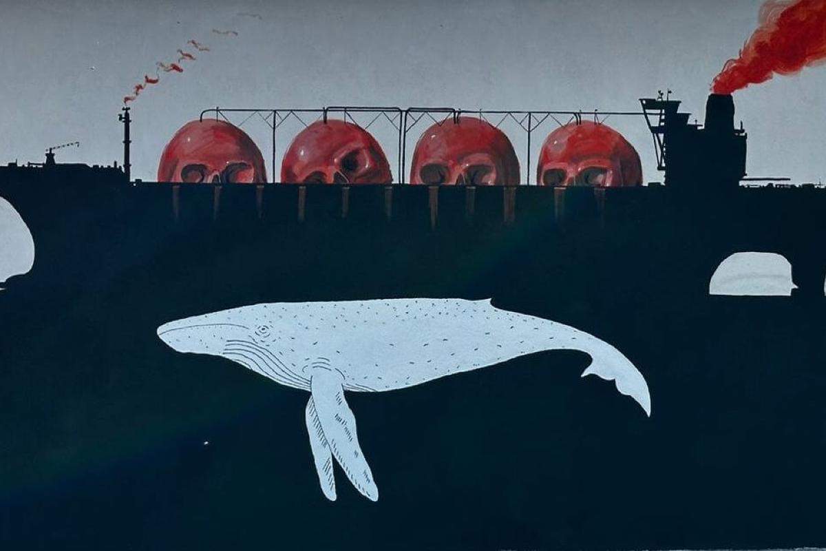 Denuncian que el proyecto Saguaro es una grave amenaza para las ballenas