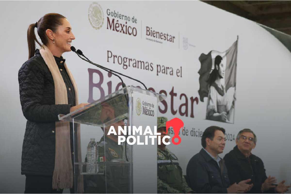 tmec-competencia-china-sheinbaum