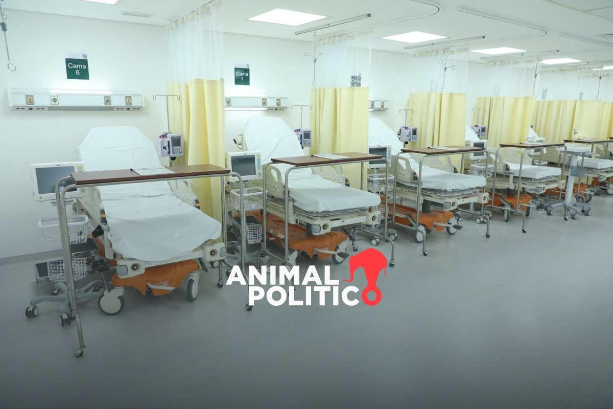 edomex-muertos-bacteria-klebsiella-oxytoca