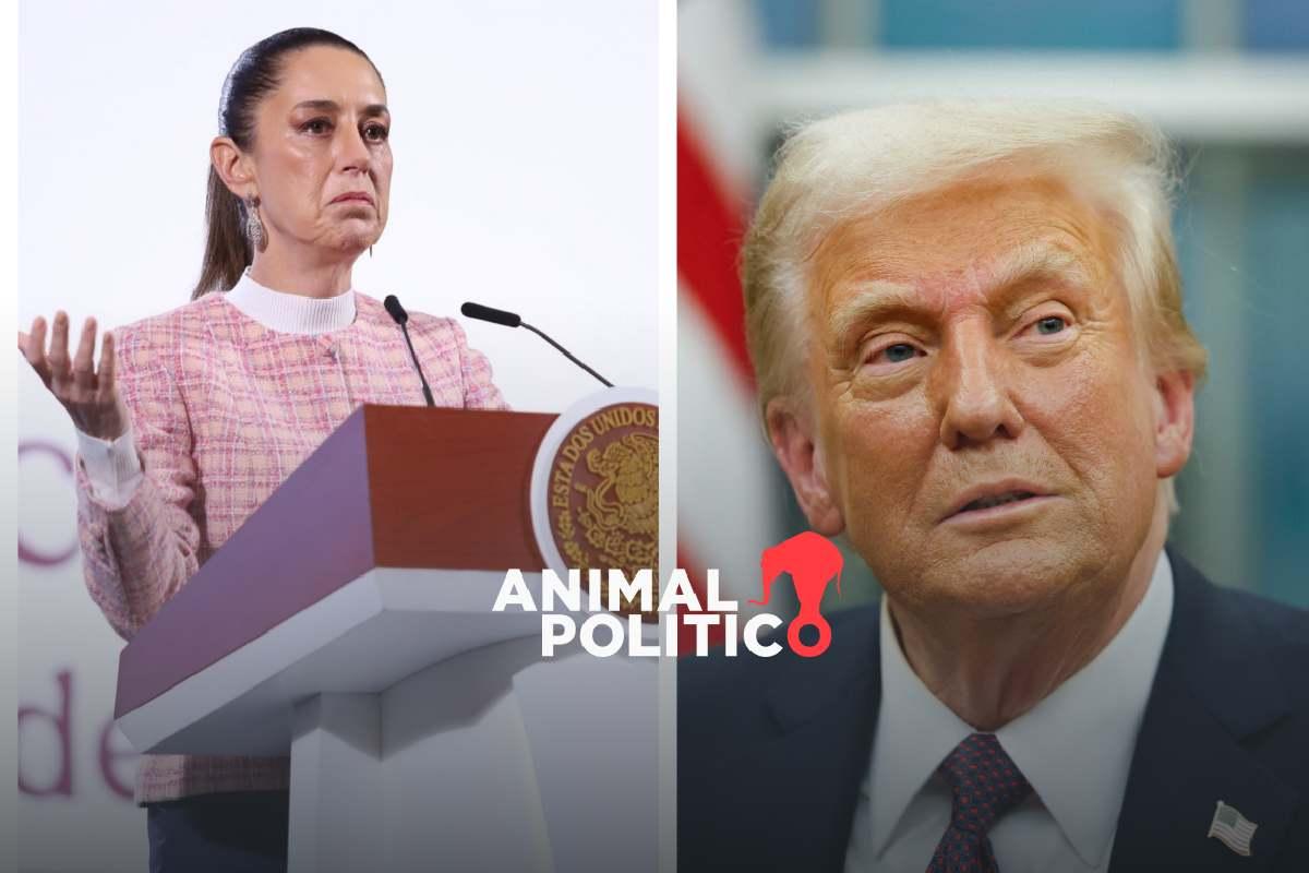 “Hay que tener la cabeza fría": Sheinbaum minimiza las órdenes ejecutivas de Trump