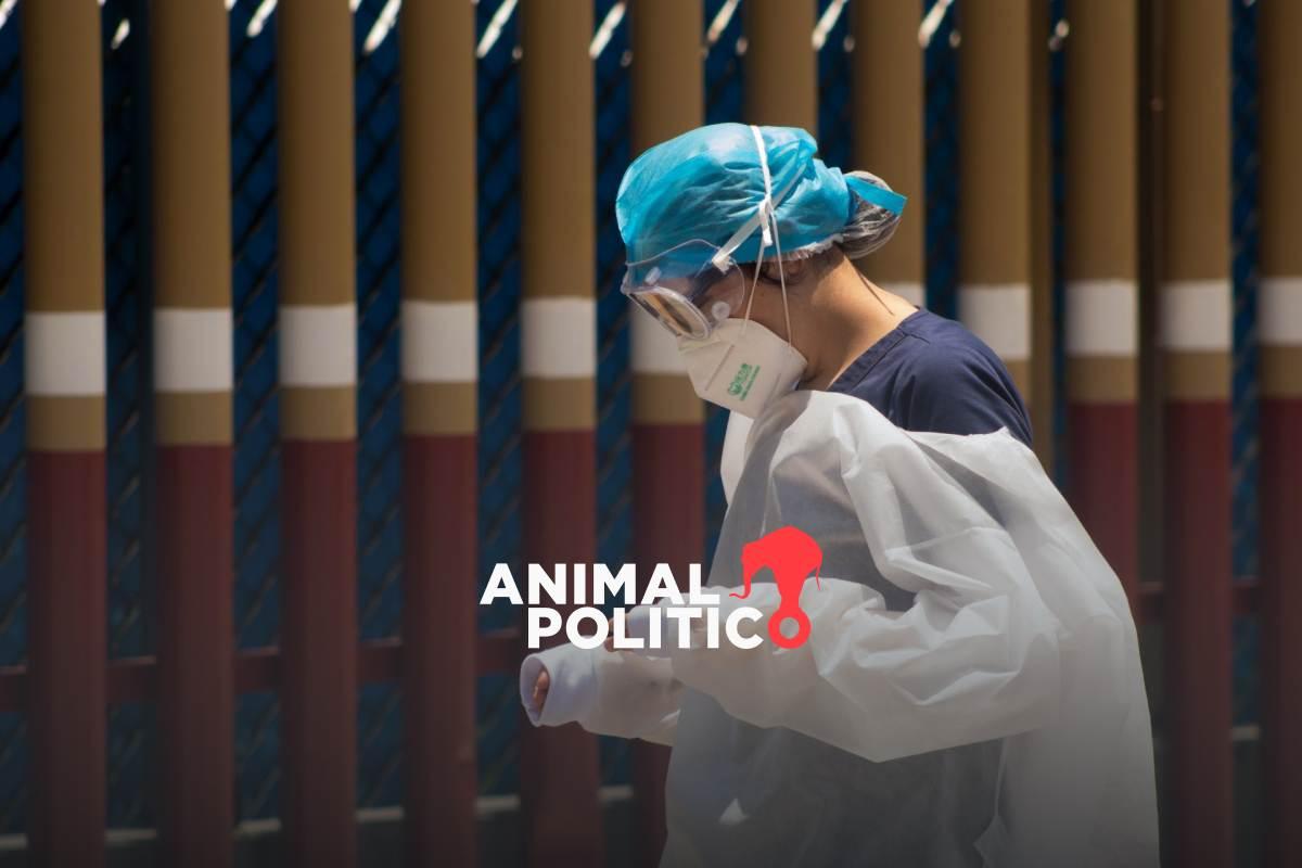 Muere la niña que dio positivo a influenza aviar A H5N1; es el primer caso reportado en México 