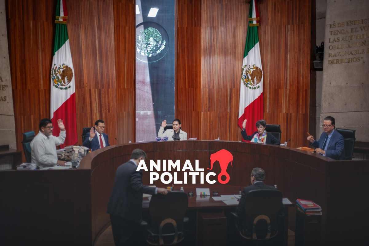 TEPJF valida elección del Tribunal de Disciplina Judicial; desestima influencia de acordeones