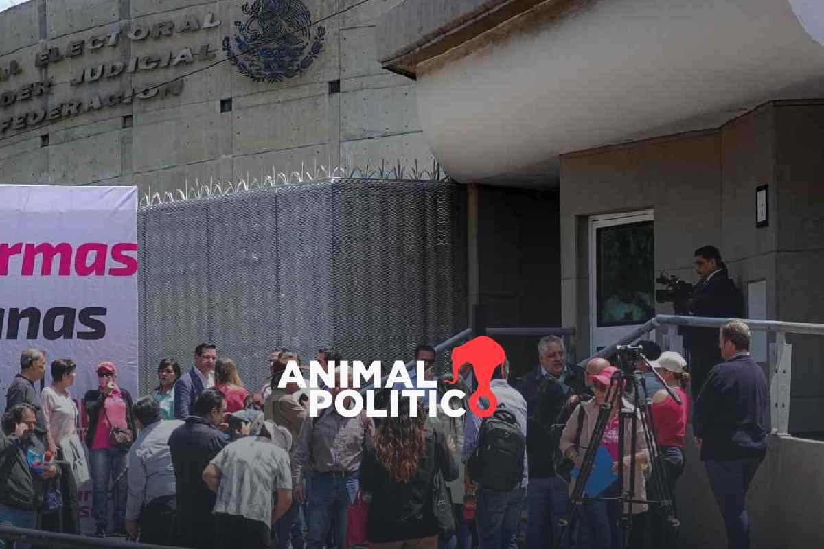 Protestan afuera del TEPJF para exigir que se anule la elección judicial; sesión se aplazó dos veces