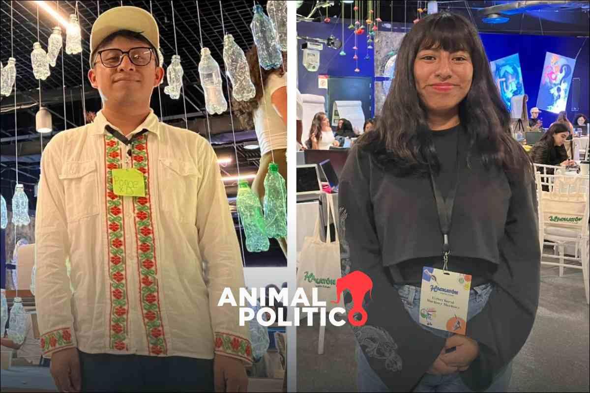 Jóvenes defensores del territorio impulsan proyectos comunitarios para proteger tierra, agua y vida