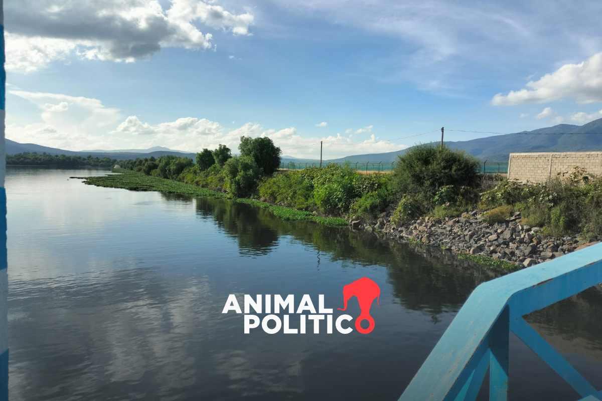 Lluvias suben el nivel de 210 presas: el Cutzamala tiene 28 % más agua que el año pasado