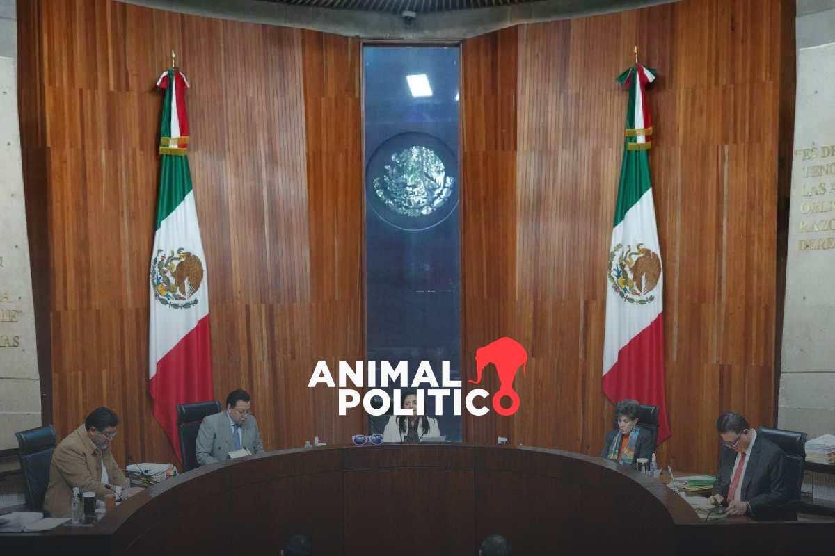 "No hay pruebas suficientes para anularla": TEPJF avala elección judicial pese a acordeones 