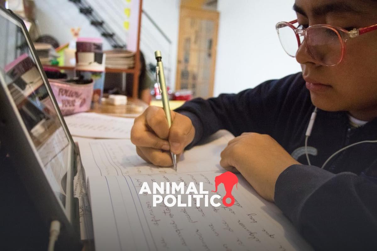 Sheinbaum presume becas, pero omite que desertaron 994 mil 219 alumnos