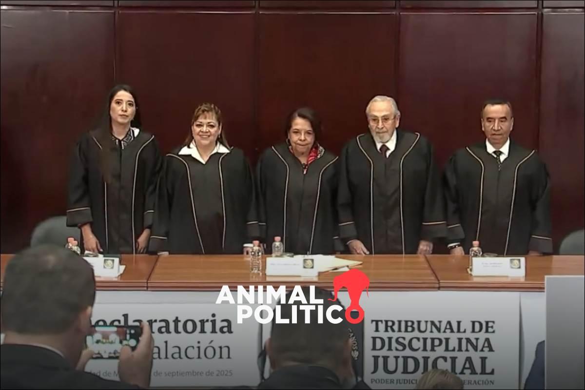 “Demostremos que la reforma judicial es exitosa”: Celia Maya en arranque del Tribunal de Disciplina