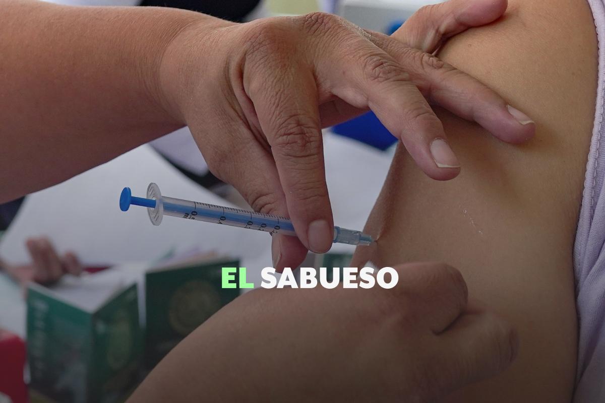 Campaña de vacunación invernal 2025-2026: ¿cuáles dosis debes aplicarte? 