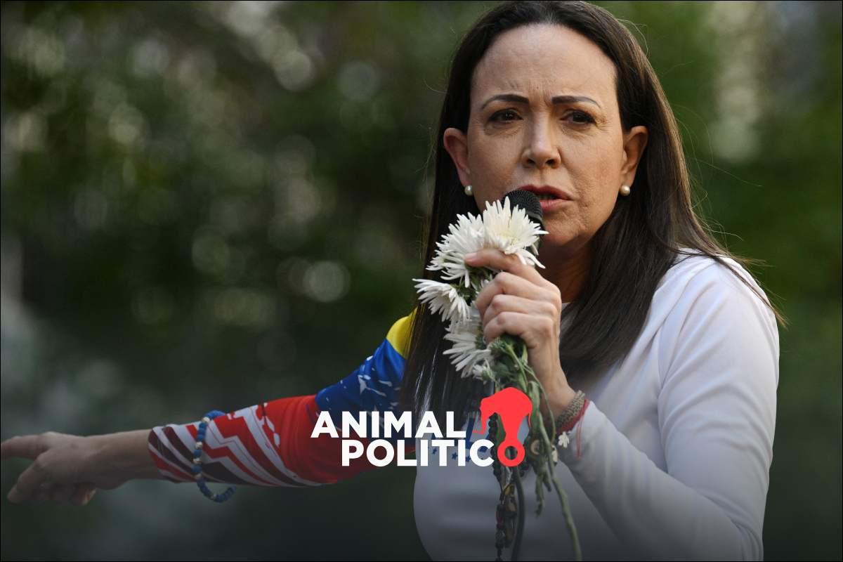 María Corina Machado: de la clandestinidad al Nobel de la Paz y su rol en la oposición a Maduro