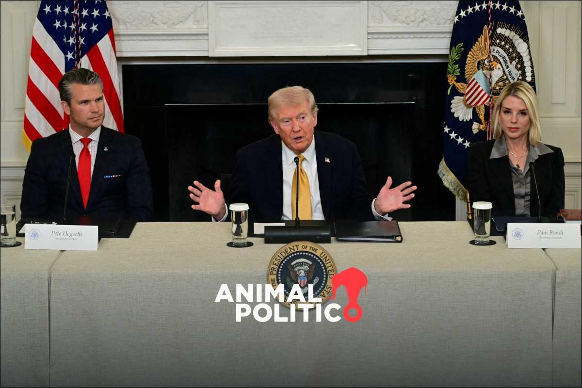 “México está controlado por los cárteles”, afirma Trump; reporta 3 mil capturas de narcotraficantes