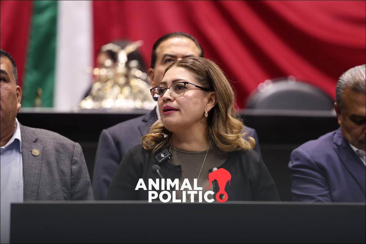 Diputada del PT propone el 13 de noviembre como Día del Bienestar; coincide con cumpleaños de AMLO