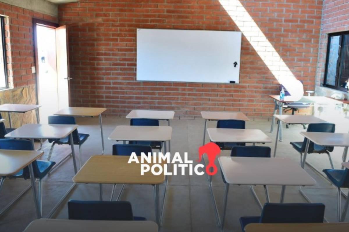 CNDH emite recomendación a Universidad del Bienestar en Veracruz por dos casos de violencia sexual contra alumnas