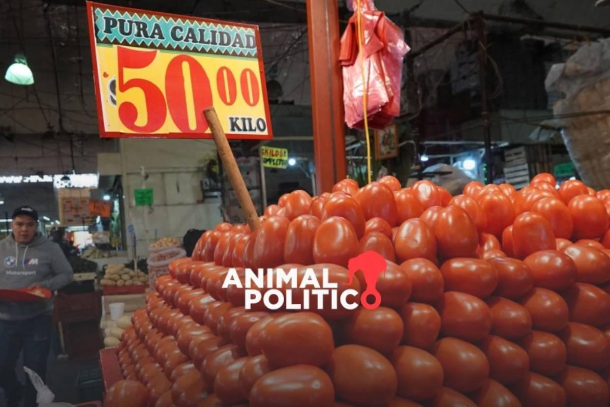 Inflación repunta en primera quincena de noviembre a 3.61 %; aumentan costos de electricidad, vivienda y jitomate