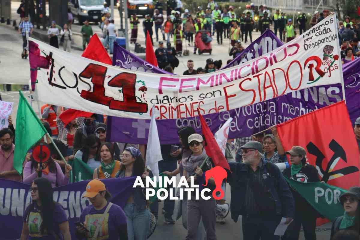 “Estado corrupto, por tu culpa estoy de luto”, mujeres marchan en CDMX por el 25N para visibilizar violencias y exigir justicia