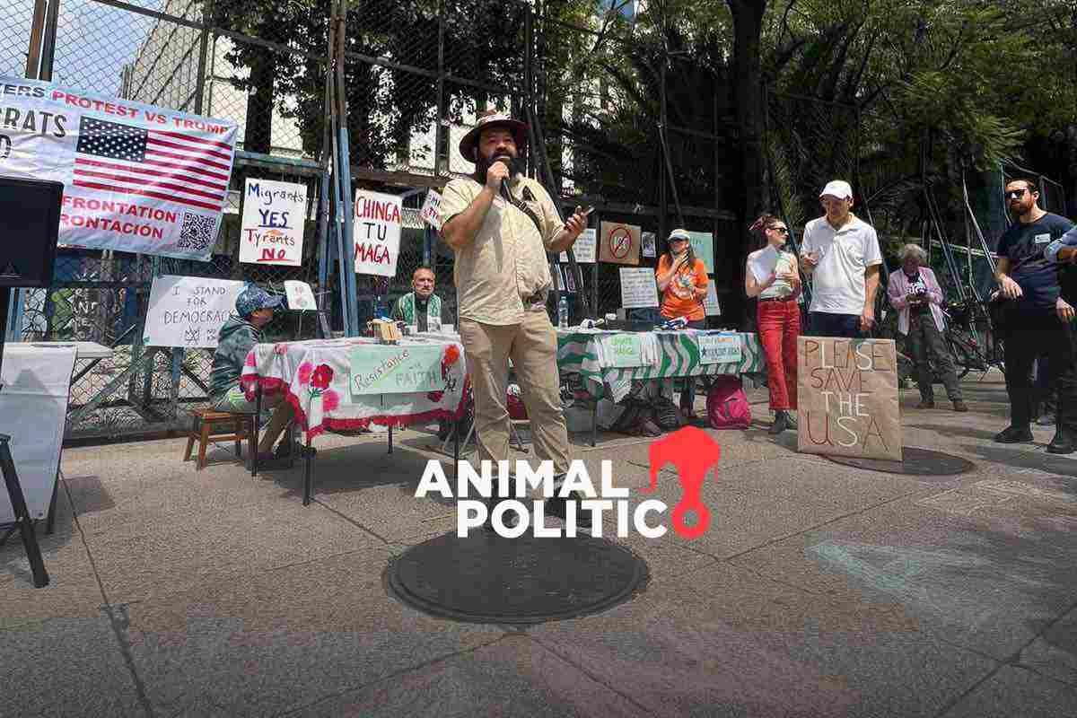 gringo-tax-colectivo-extranjeros-contra-gentrificacion-cdmx