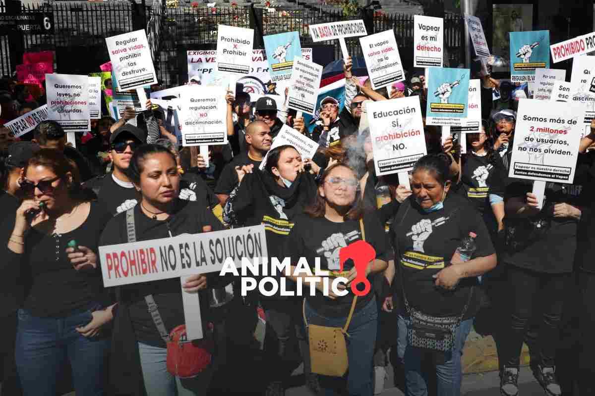 Prohibición de vapeadores, terreno fértil para el mercado negro y riesgos de criminalización, advierten legisladores