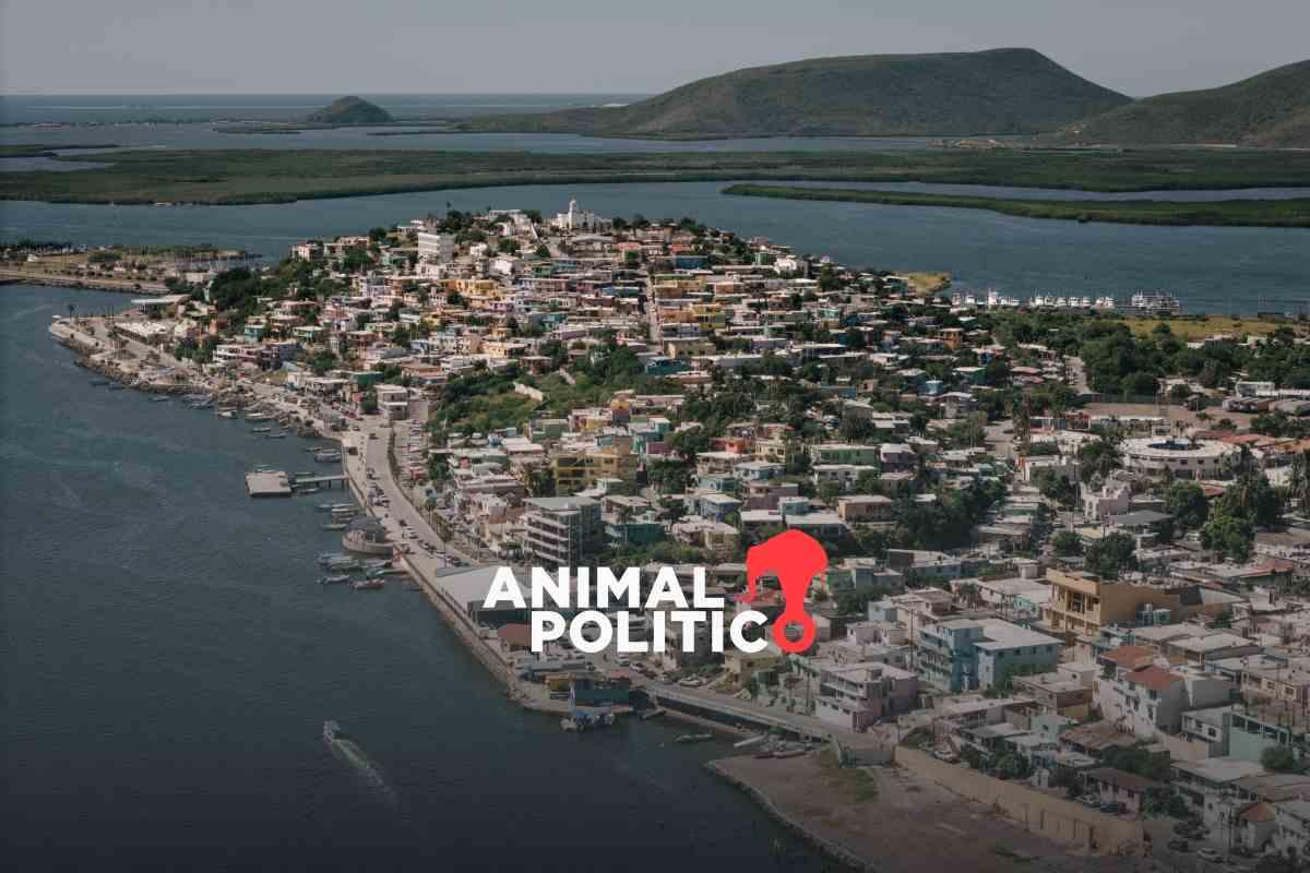 bahia-topolobampo-impacto-planta-amoniaco-gas-natural