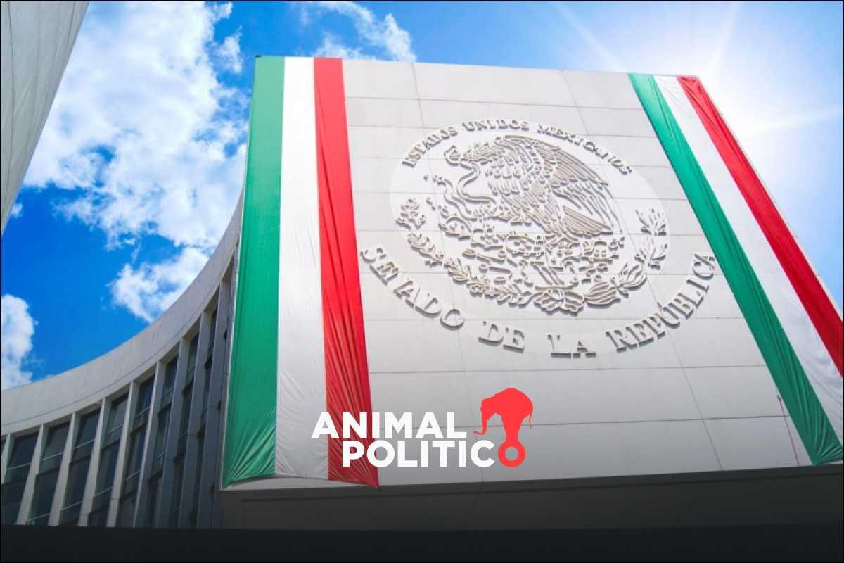 Avanza en el Senado lista de 10 aspirantes a la FGR; Ernestina Godoy figura entre los seleccionados