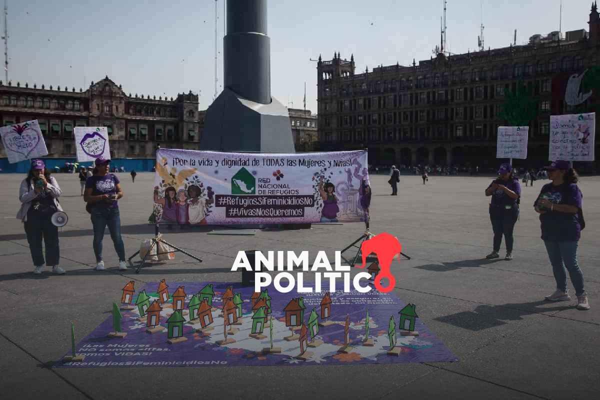 Refugios para mujeres tendrán solo 2 % más presupuesto para 2026; recursos deberán repartirse entre más centros