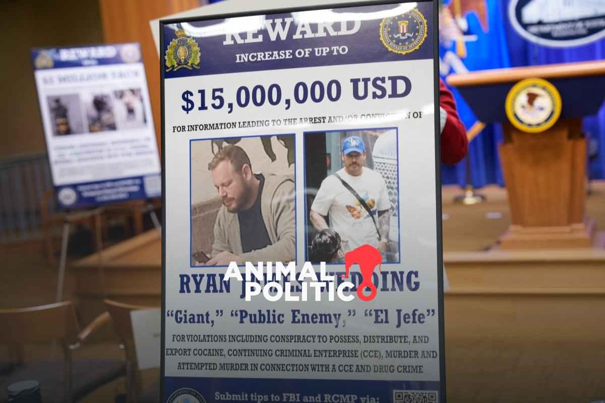 Director del FBI y embajador Ronald Johson destacan cooperación entre México y EU para la captura de Ryan ‍Wedding