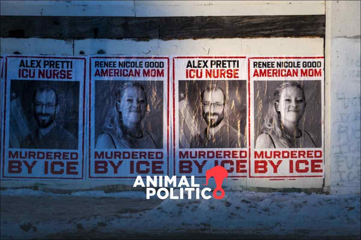 Agente del ICE que mató a Renee Good es retirado de funciones en medio de tensiones en Minneapolis