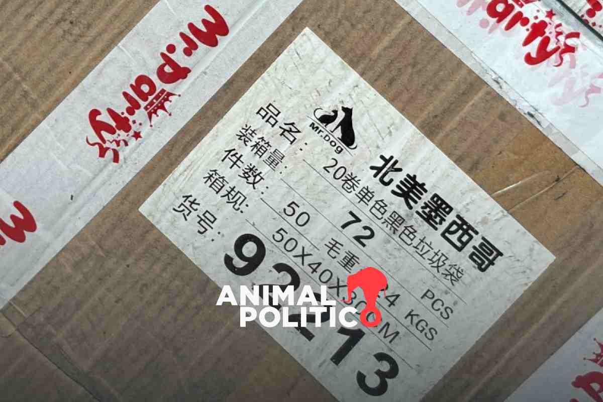 Entran en vigor aranceles impuestos por México a China y a países sin tratado: estos son los sectores más afectados