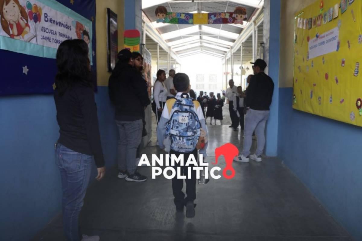 Regreso a clases: más de 23 millones de alumnos retoman actividades en 231 mil escuelas del país